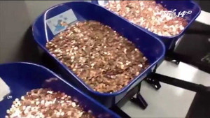 Người đàn ông mang xe cút kít chở hơn 7 tạ tiền xu đi nộp thuế