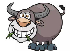 Giờ xuất hành cho người tuổi Sửu năm Đinh Dậu 2017