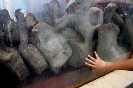 Người róc xương cá khổng lồ và những linh ứng kỳ lạ ở Cồn Bửng