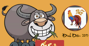 Xông nhà người tuổi Sửu năm Đinh Dậu 2017