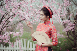 Hoa khôi sinh viên Hà Nội 2016 khoe sắc bên đào Xuân đón Tết