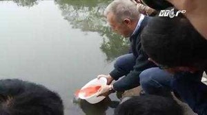 Đại sứ Mỹ thả cá, đi chợ hoa sắm Tết, chúc Tết bằng tiếng Việt