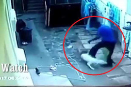 Trộm trèo tường vào nhà bị 2 chú chó xâu xé, kéo... tụt quần