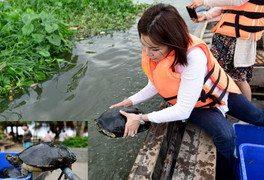 Mua 80kg rùa giá 25 triệu đồng ra sông Sài Gòn phóng sinh cúng Táo quân