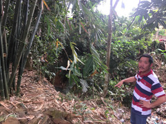 Cụ bà tá hoả phát hiện nam thanh niên treo cổ tại bụi tre