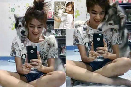 Phì cười clip chó Husky hớn hở chụp ảnh tự sướng cùng cô chủ xinh đẹp