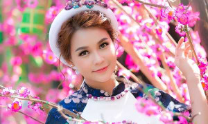 Sam dịu dàng xuống phố ngày xuân