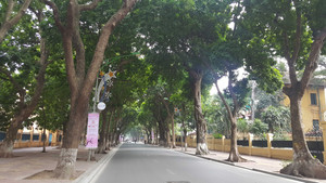30 Tết: Đường phố Hà Nội thênh thang lạ thường