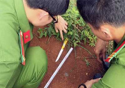 Mâu thuẫn tiền bạc, nam thanh niên đâm chết bạn ngày mùng 1 Tết