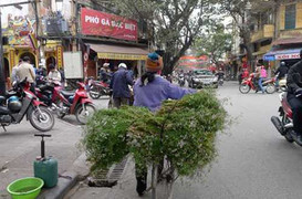 Vì sao ngày Tết nên ăn nhiều rau mùi?