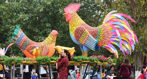 Chiêm ngưỡng đường hoa lớn nhất miền Bắc Tết Đinh Dậu