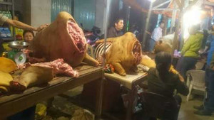 Đi chợ Viềng, mua thịt bò 320.000 đồng/kg