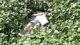 Người đàn ông cầm xô nhựa nằm chết dưới ao rau muống