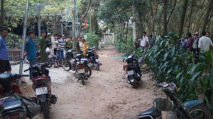 Người đàn ông bị đàn ong rừng tấn công, chết ngay tại chỗ