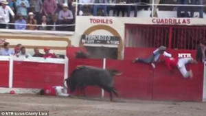 Bò tót nổi điên húc văng đấu sĩ và khán giả
