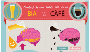 Chuyện gì xảy ra khi não bộ tiếp xúc với bia hoặc cafe?