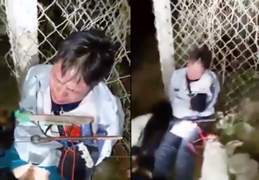 'Hiệp sĩ' tóm gọn kẻ dùng súng tự chế bắn chết 5 con chó