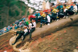 Các lễ hội nguy hiểm nhất thế giới: Liều mạng cưỡi thân cây khổng lồ lao vách núi ở Nhật Bản