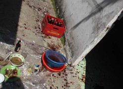 Vợ dùng vỏ chai bia lấy mạng chồng sau trận cãi vã kịch liệt