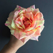 Valentine 2017: Hoa hồng ngoại 500.000 đồng/bông hút khách, hồng nội tăng giá 5 lần