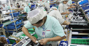 Bất ngờ mức lương 'khủng' doanh nghiệp Nhật trả cho lao động người Việt