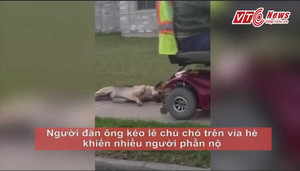 Video: Phẫn nộ người đàn ông trói cổ, kéo lê chú chó trên vỉa hè