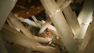 'Siêu sự sống' có tuổi đời lên đến 60.000 năm