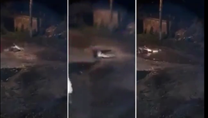 Bị thòng lọng siết cổ, cá sấu nổi điên ngoạm chết chó nhà