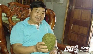 Mổ lợn nái nuôi 7 năm, phát hiện vật nghi 'trư sa'