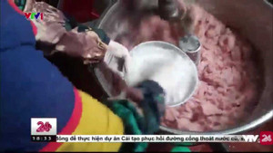 Rùng mình công nghệ sản xuất nem chua rán từ bì lợn thối tẩm hóa chất