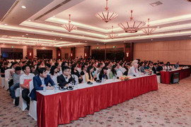 Vinschool tiên phong trang bị năng lực thế kỷ 21 cho học sinh