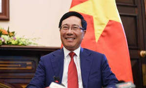 Phó Thủ tướng Phạm Bình Minh tiếp Đại sứ Pháp tại Việt Nam