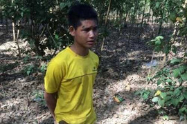 Bế bé gái 3 tuổi ra vườn cao su giở trò đồi bại