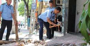 TP.HCM: Chiến dịch 'dẹp loạn vỉa hè' mở rộng khắp các quận