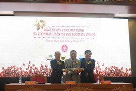 Công bố chương trình hỗ trợ phát triển cà phê Buôn Ma Thuột tại Lễ hội cà phê lần thứ 6 năm 2017