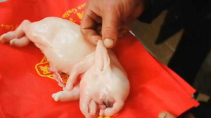 'Quái thú' lại vừa được sinh ra ở Trung Quốc