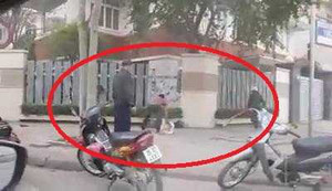 Video: Hò nhau vây bắt nhím ‘khổng lồ’ trên phố Hà Nội