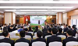 Biến đổi khí hậu, cao ốc làm gì để đối phó?