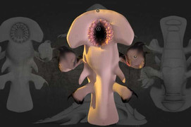 'Dựng' chân dung quái vật ngoài hành tinh cứng như sắt