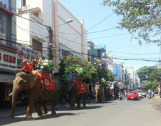 Hàng nghìn du khách đổ về Lễ hội cà phê Tây Nguyên 2017