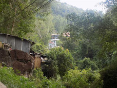 Thực hư bốn gốc kỳ nam được Bà Chúa trấn yểm cho 'xứ trầm hương'?