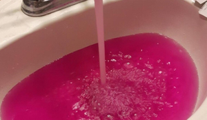 Hàng trăm người Canada phát hoảng vì nước máy chuyển màu hồng