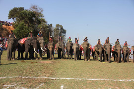 Mãn nhãn hội đua voi, đua thuyền Tây Nguyên