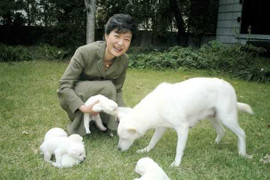 Bỏ lại chó ở Nhà Xanh, bà Park Geun-Hye bị khiếu nại