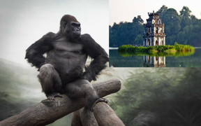 Đề xuất dựng mô hình King Kong ở Hồ Gươm: 'Sao không dựng con rùa vàng đi?'