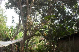 Mâu thuẫn với bạn, nam thanh niên treo cổ sau nhà