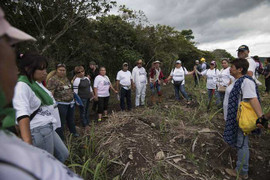 Phát hiện hơn 240 thi thể trong những ngôi mộ tập thể ở Mexico