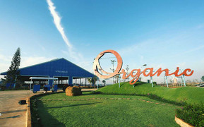 Trang trại bò sữa Organic đầu tiên tại Việt Nam