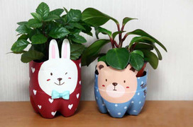 Giờ Trái đất 2017