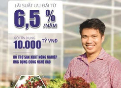 Vay sản xuất nông nghiệp: BIDV dành 10.000 tỷ đồng với lãi suất chỉ từ 6,5%/năm